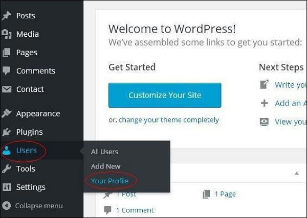 WordPress个人档案